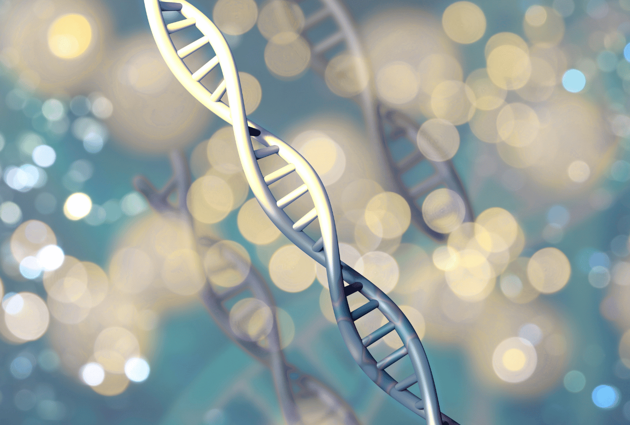 LSL Challenge icon image